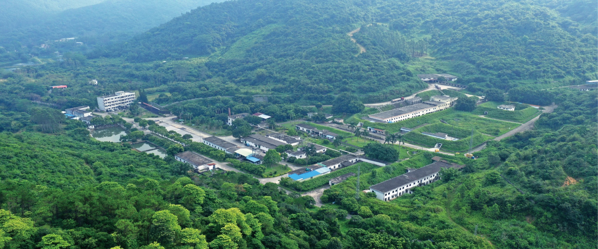 Hongwei - Packaging Explosive Series-Guangdong Handar